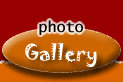photos gallary - hai telugu cinema