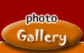 photo gallery - hai
