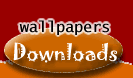 wall papers - hai