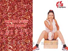 Sonia Agarwal