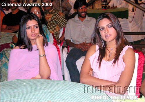 Telugu cinemaa awards 2003