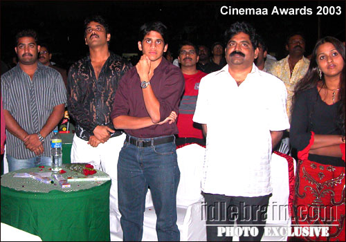 Telugu cinemaa awards 2003