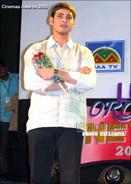 Telugu cinemaa awards 2003