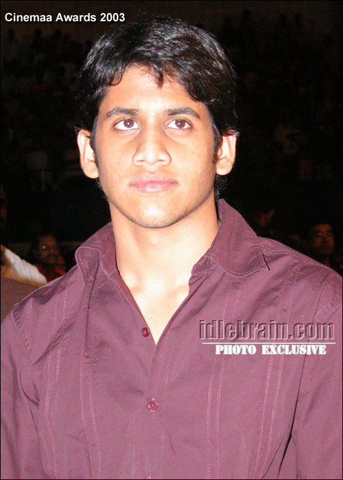Telugu cinemaa awards 2003