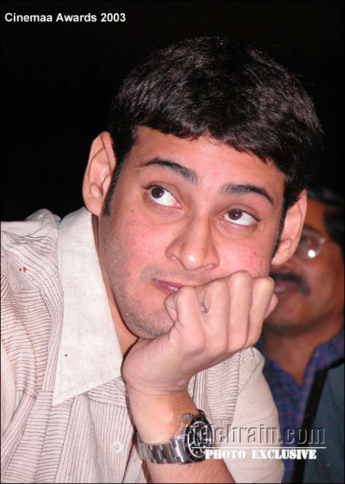 Telugu cinemaa awards 2003