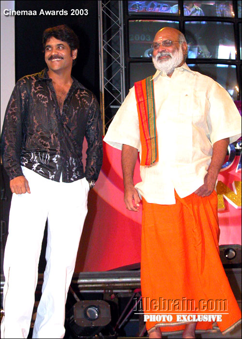 Telugu cinemaa awards 2003