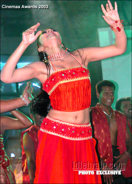Telugu cinemaa awards 2003