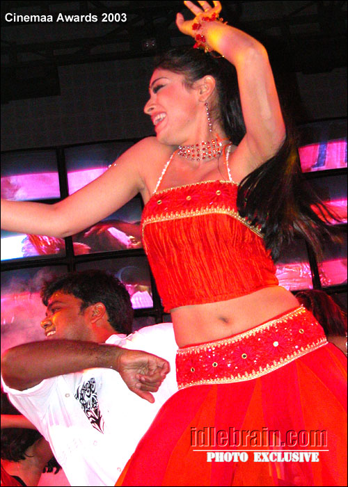 Telugu cinemaa awards 2003