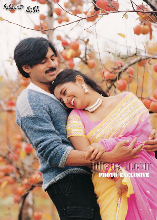 Gudumba shankar - pawan kalyan