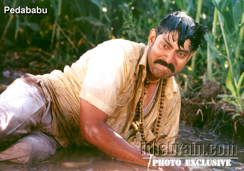 pedababu