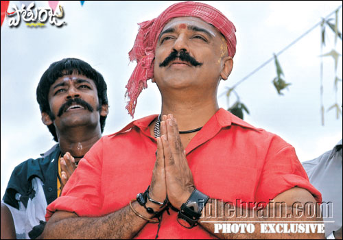 pothuraju