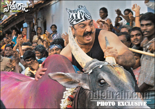 pothuraju