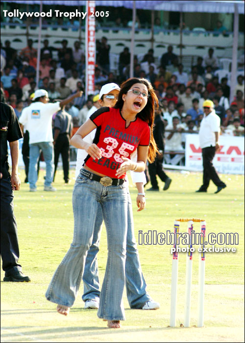star cricket