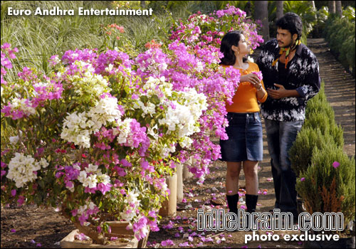 Euro Andhra