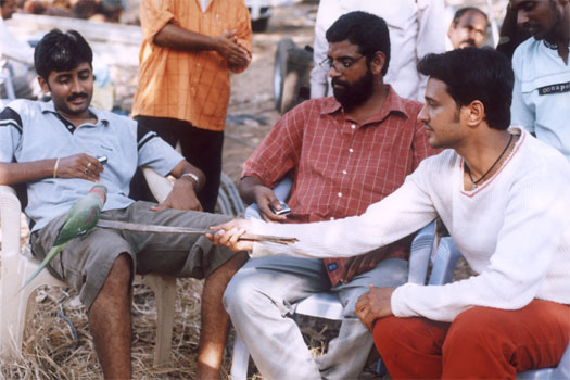 Mogudu Pellam O Dongodu