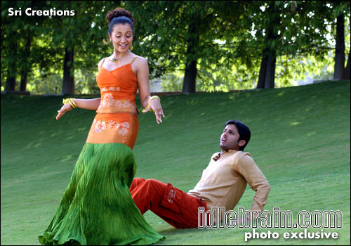 Sree Creations