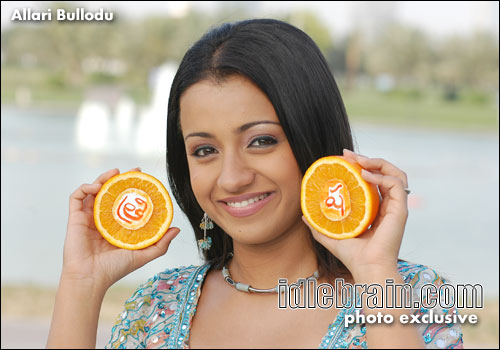 Sree Creations