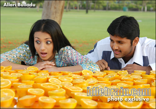 Sree Creations