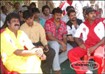 star cricket