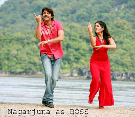Nagarjuna Akkineni as Boss - Telugu cinema news