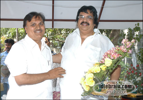 Dasari