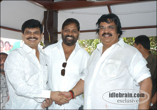 Dasari