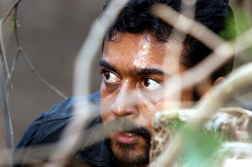 surya