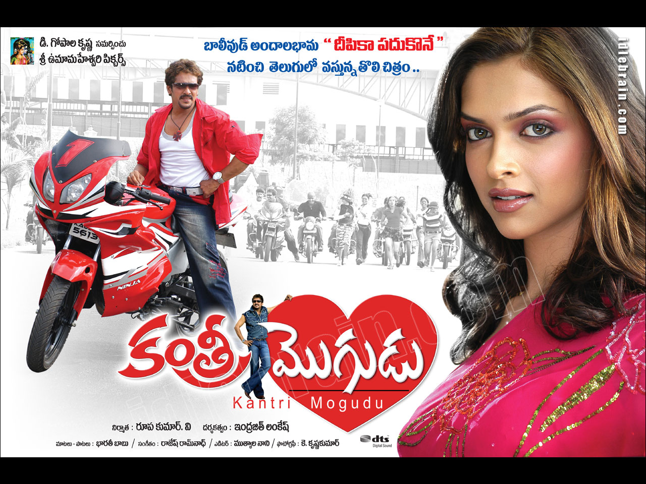 Kantri Mogudu