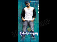 brindavanam