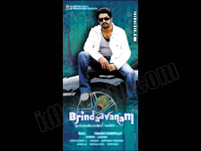 brindavanam